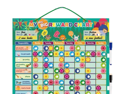 My Big Big Reward Chart – Magnetic Responsibility Board